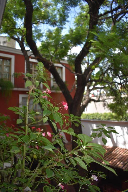 Hotel Ana Catalina And Suites San Miguel de Allende Exterior foto